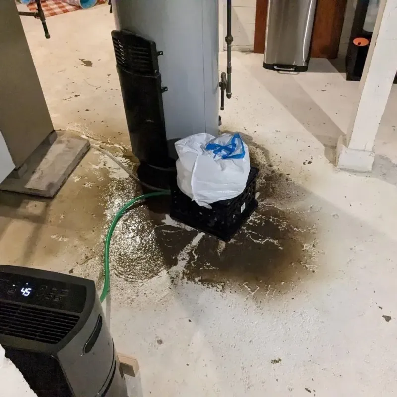 Sewage Backup Cleanup Service in Cottonwood, AL